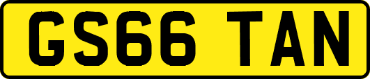 GS66TAN
