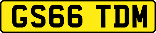 GS66TDM