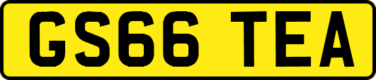 GS66TEA