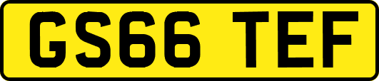 GS66TEF