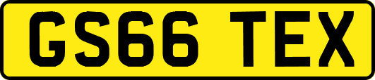 GS66TEX