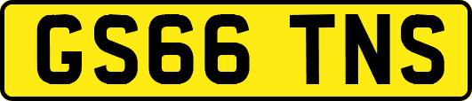 GS66TNS