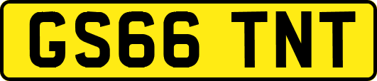 GS66TNT