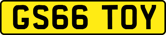 GS66TOY