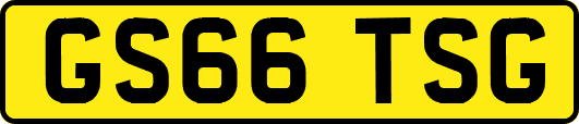 GS66TSG