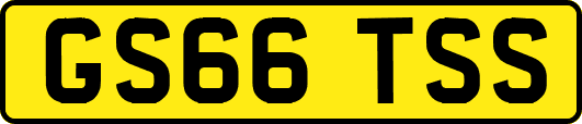 GS66TSS