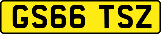 GS66TSZ