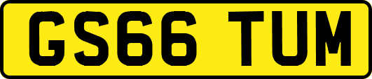GS66TUM