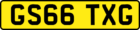 GS66TXG
