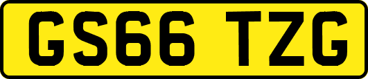 GS66TZG