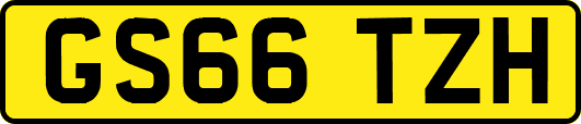 GS66TZH