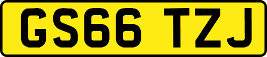 GS66TZJ