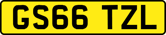 GS66TZL