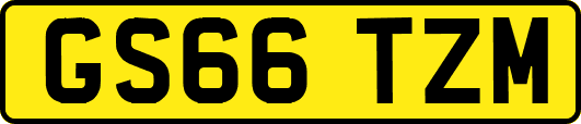 GS66TZM