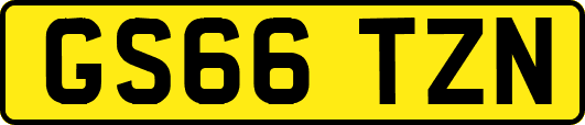 GS66TZN