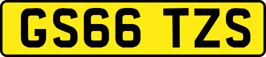 GS66TZS