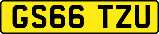 GS66TZU