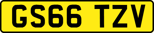 GS66TZV