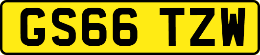 GS66TZW