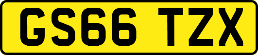 GS66TZX