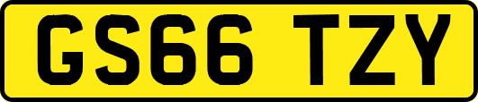 GS66TZY