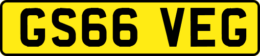 GS66VEG