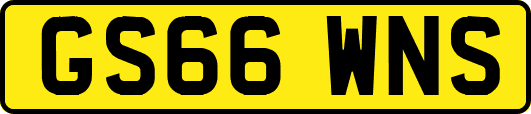 GS66WNS