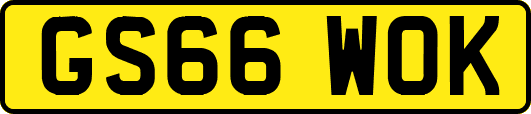 GS66WOK