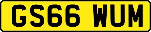 GS66WUM