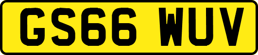 GS66WUV