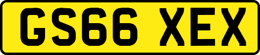 GS66XEX