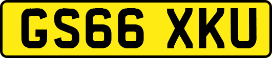 GS66XKU