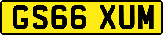 GS66XUM