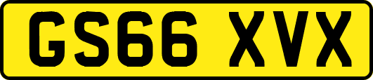 GS66XVX
