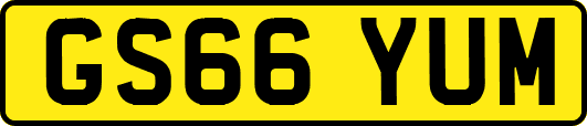 GS66YUM