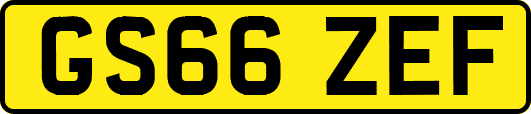 GS66ZEF