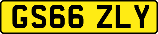 GS66ZLY