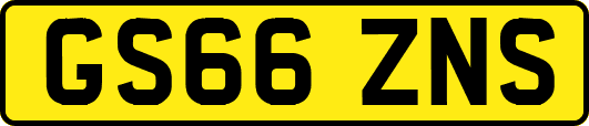 GS66ZNS