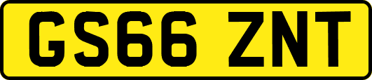 GS66ZNT