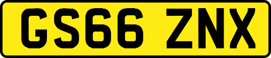 GS66ZNX