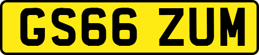 GS66ZUM