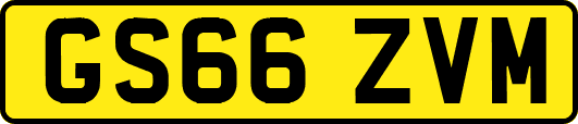 GS66ZVM