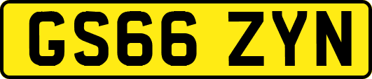 GS66ZYN