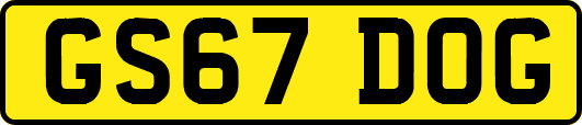 GS67DOG