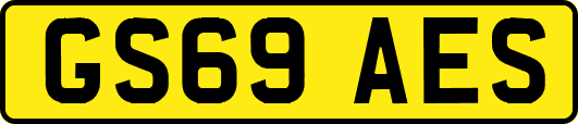 GS69AES