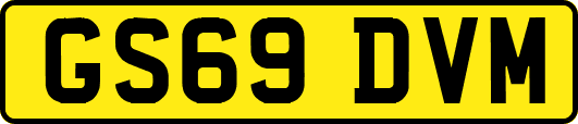 GS69DVM