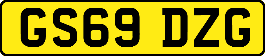 GS69DZG