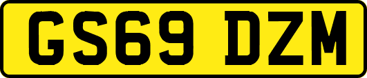 GS69DZM