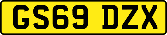 GS69DZX