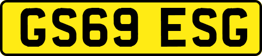 GS69ESG